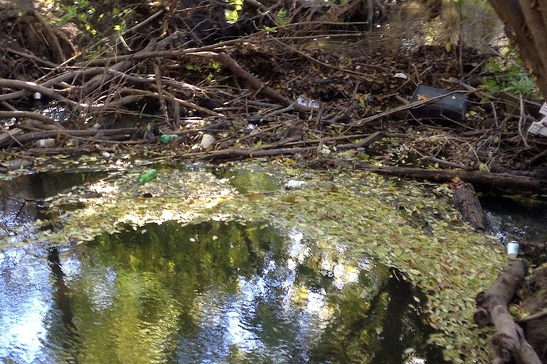 A clogged Haskell Creek, which empties into the Los Angeles River, in the vegetation management area south of Burbank Boulevard. The five-year plan is restricted to the 48 acres south of the boulevard and will reintroduce diverse, sustainable native species while maintaining the basin's primary function. In all, roughly 80 tons of trash were removed.