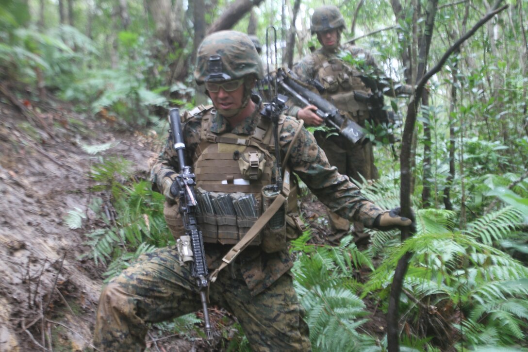 Sergeant Gary E. Lehman, a squad leader with Battalion Landing Team 1st Battalion, 5th Marine Regiment, 31st Marine Expeditionary Unit and a native of Murrieta, Calif., leads his squad through the thick jungle to begin a live-fire exercise here, Jan 4. The Marines and Sailors of BLT 1/5 conducted this training to hone their combat skills in a jungle environment. The 31st MEU is the only continuously forward-deployed MEU and is the Marine Corps’ force in readiness in the Asia-Pacific region.