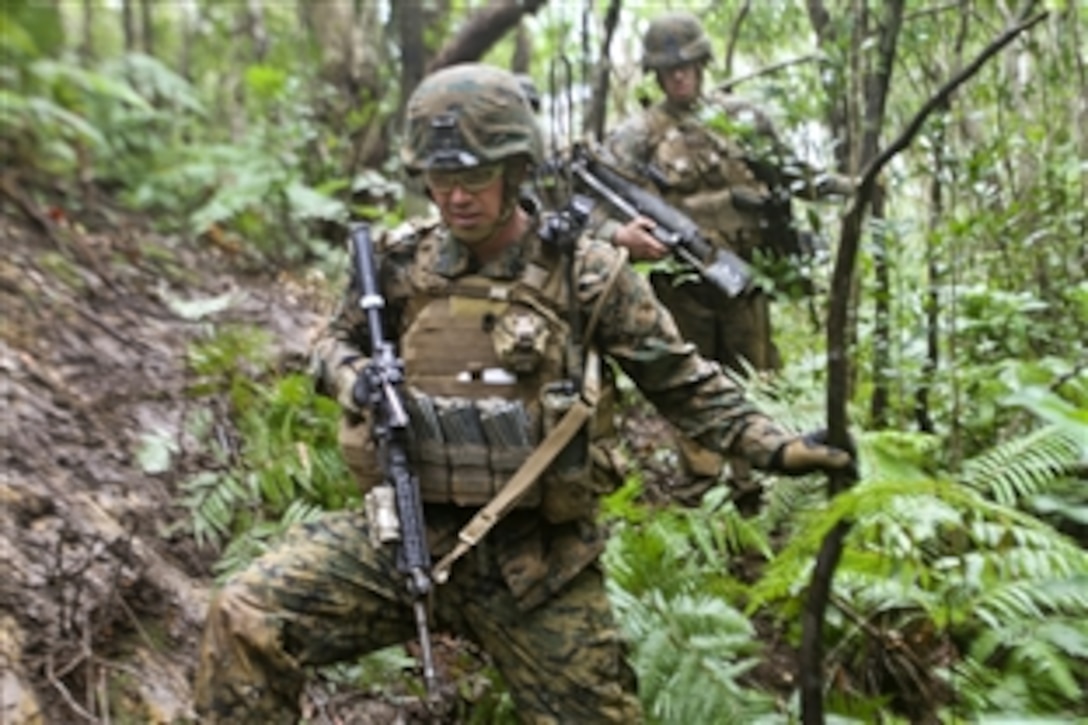 U.S. Marine Corps Sgt. Gary E. Lehman leads his squad through the thick jungle to begin a live-fire exercise on Camp Schwab in Okinawa, Japan, Jan. 4, 2013. The Marines, assigned to the 31st Marine Expeditionary Unit, and sailors conducted the training to hone their combat skills in a jungle environment. 

