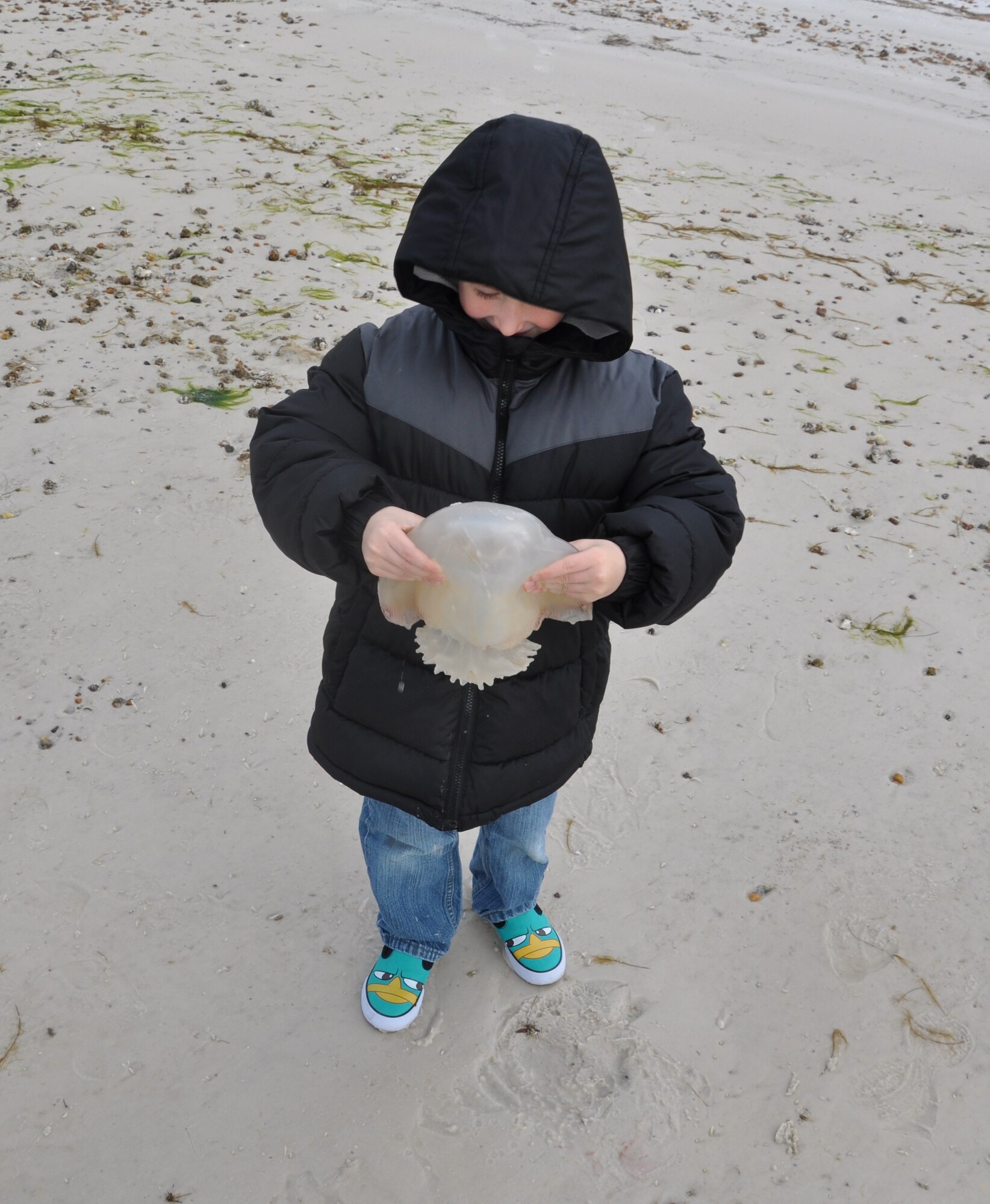 Dalton DeVite, son of Chief Master Sgt. Raymond DeVite, 325th Fighter Wing command chief, holds a dead sea jelly he found while exploring the area at the end of the Pelican Way nature trail. (U.S. Air Force photo by Senior Airman Christopher Reel)