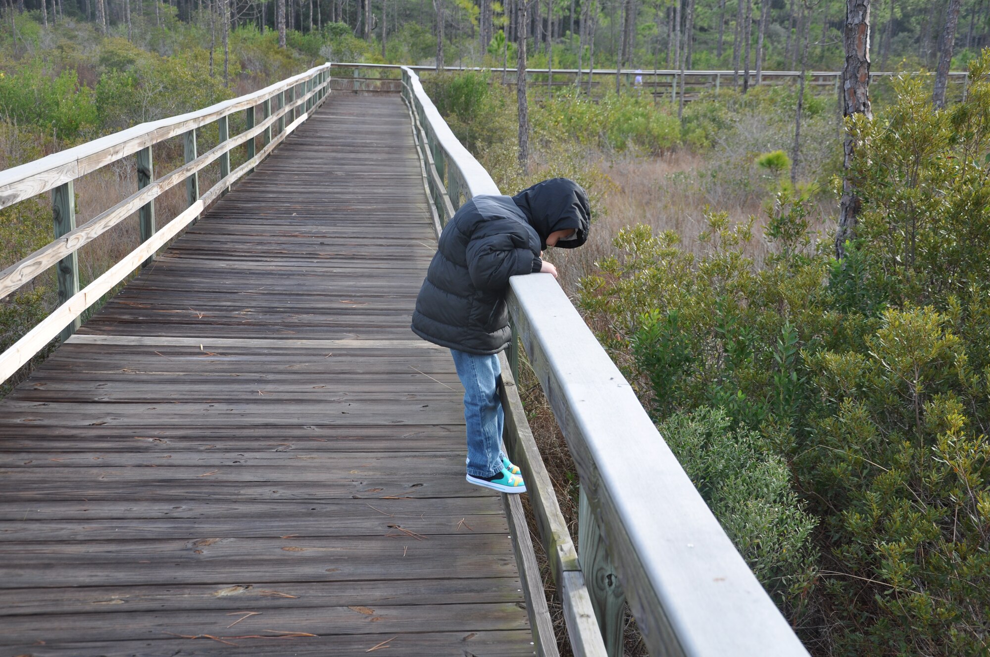 Dalton DeVite, son of Chief Master Sgt. Raymond DeVite, 325th Fighter Wing command chief, looks for wildlife off the boardwalk on the Pelican Way nature trail. (U.S. Air Force photo by Senior Airman Christopher Reel)
