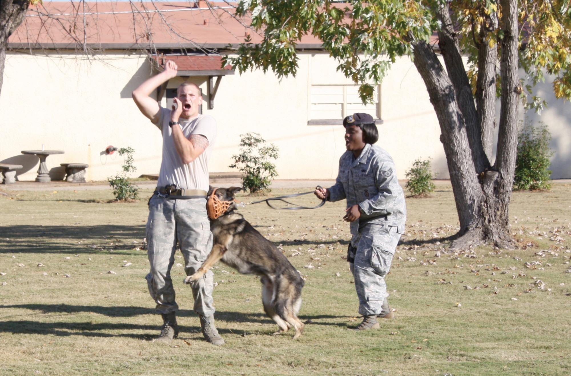 Staff Sgt. Brent Olson and Staff Sgt. Sansha Richard enact an aggressor situation where military working dog, Art, is given the order to "attack." (U.S. Air Force photo by Rebecca Burylo)