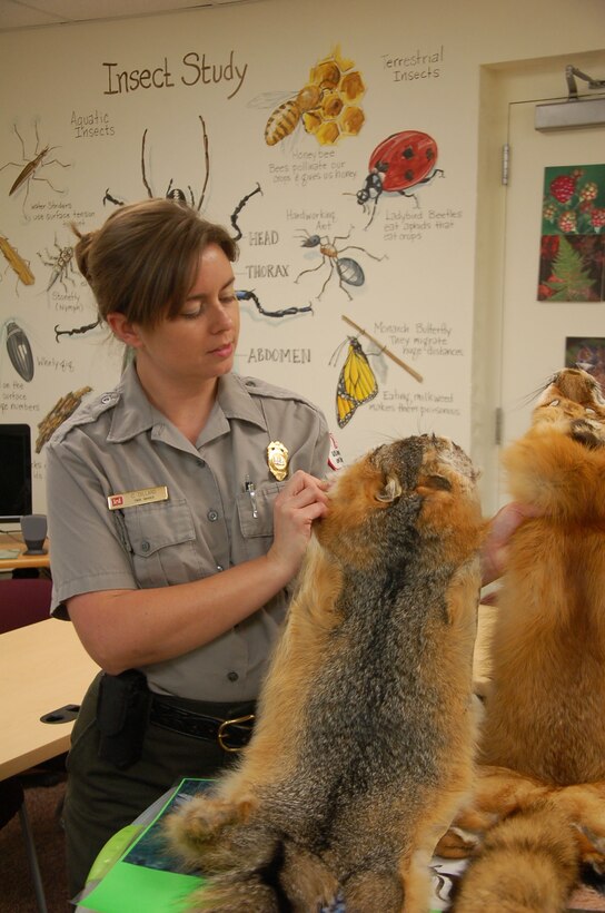W. Kerr Scott Ranger Crystal Dillard holds up fox pelts at the Vistors Assistance Center that are used to educate people about the various wildlife in and around W. Kerr Scott Dam and Reservoir near Wilkesboro, North Carolina.  (USACE photo by Hank Heusinkveld)  