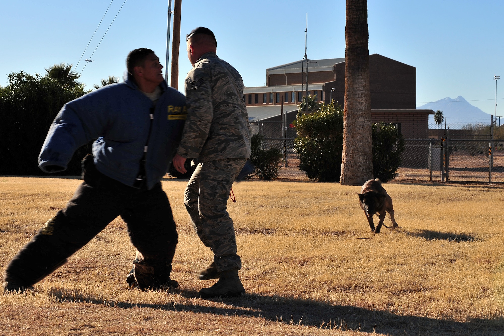 U.S. Air Force Staff Sgt. Bryan Klein, 355th Security Forces Squadron military working dog handler, is attacked by a suspect during a search and Bruno, military working dog, reacts to subdue the suspect on Davis-Monthan Air Force Base, Ariz., Jan 9, 2013. Bruno was working on different hostile situations with his trainer.(U.S. Air Force photo by Airman 1st Class Josh Slavin/Released)