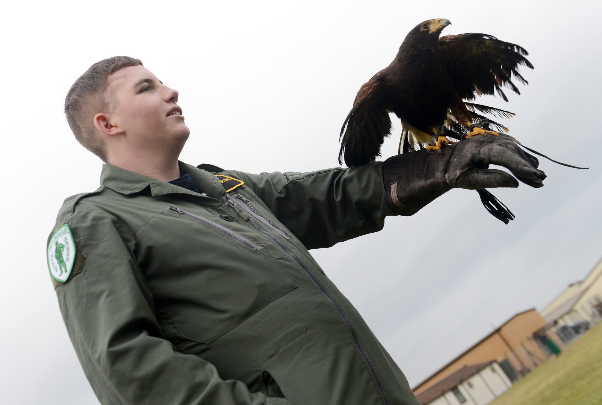 ROYAL AIR FORCE LAKENHEATH, England - Jake Snowling, a 15-year-old Redgrave resident, holds a Harris Hawk during a birds of prey demonstration Jan. 8, 2013. The demonstration was part of a "pilot for a Day" event, which allows children who are suffering from life-threatening illnesses to come to RAF Lakenheath and experience what it is like to be a pilot. (U.S. Air Force photo by Staff Sgt. Stephen Linch)