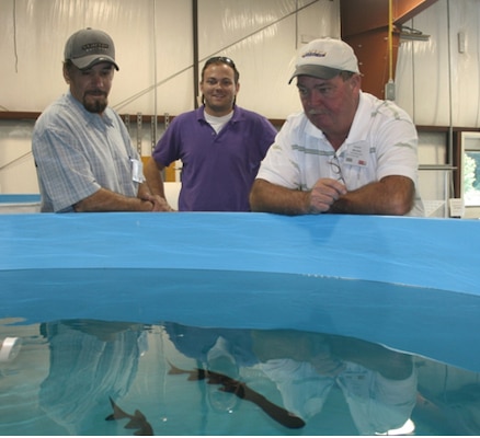 From left, Aquarist Gabriel Valles, Alan Katzenmeyer, ERDC Environmental Laboratory, and Aquarist Mike Sutton observe paddlefish feeding in EL’s Fish Ecology Laboratory. Valles and Sutton maintain large aquaria that house Mississippi River fishes at the Tunica Riverpark and Museum.