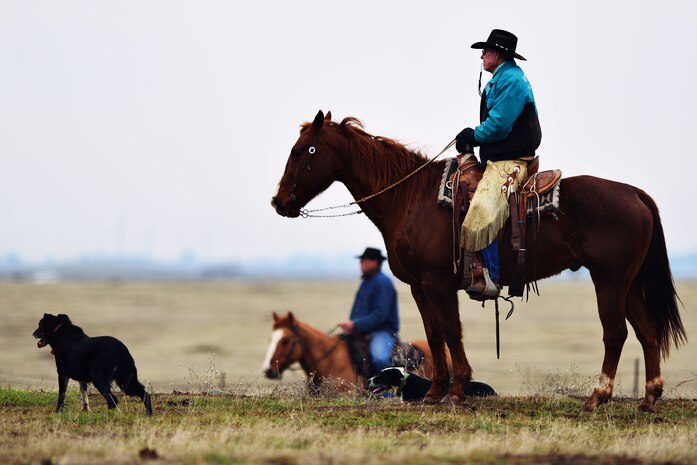 Rancher Jim Durbin looks on as cattle are corralled onto a pasture Jan. 9, 2013, at Beale Air Force Base, Calif. Beale leases thousands of acres to local ranchers to graze cattle during the winter and spring seasons. (U.S. Air Force photo by Airman 1st Class Drew Buchanan/Released)