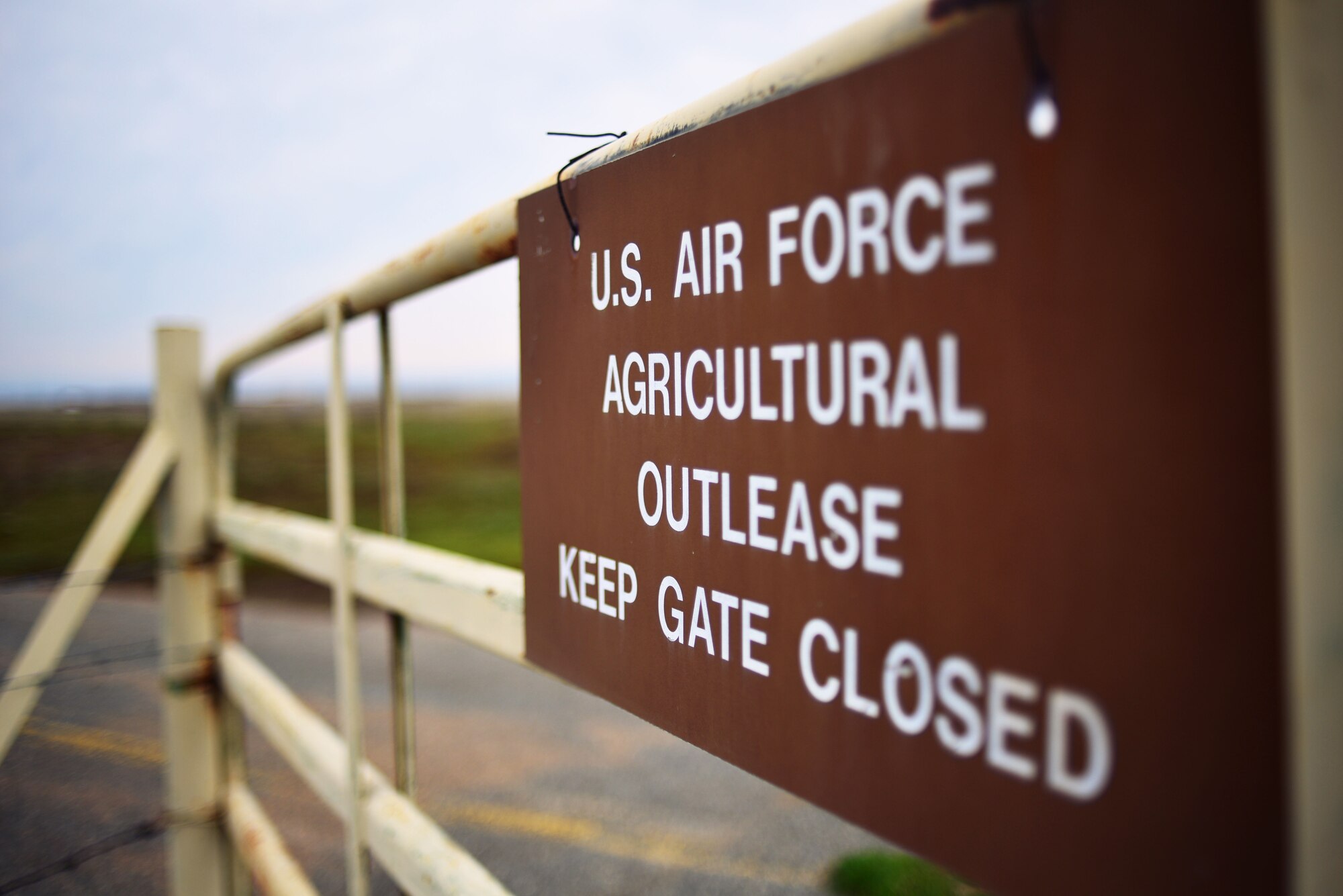 Beale Air Force Base, Calif. is home to thousands of acres of undeveloped grazing land that is leased to local ranchers on which more than 2000 cattle graze.  (U.S. Air Force photo by Airman 1st Class Drew Buchanan/Released)