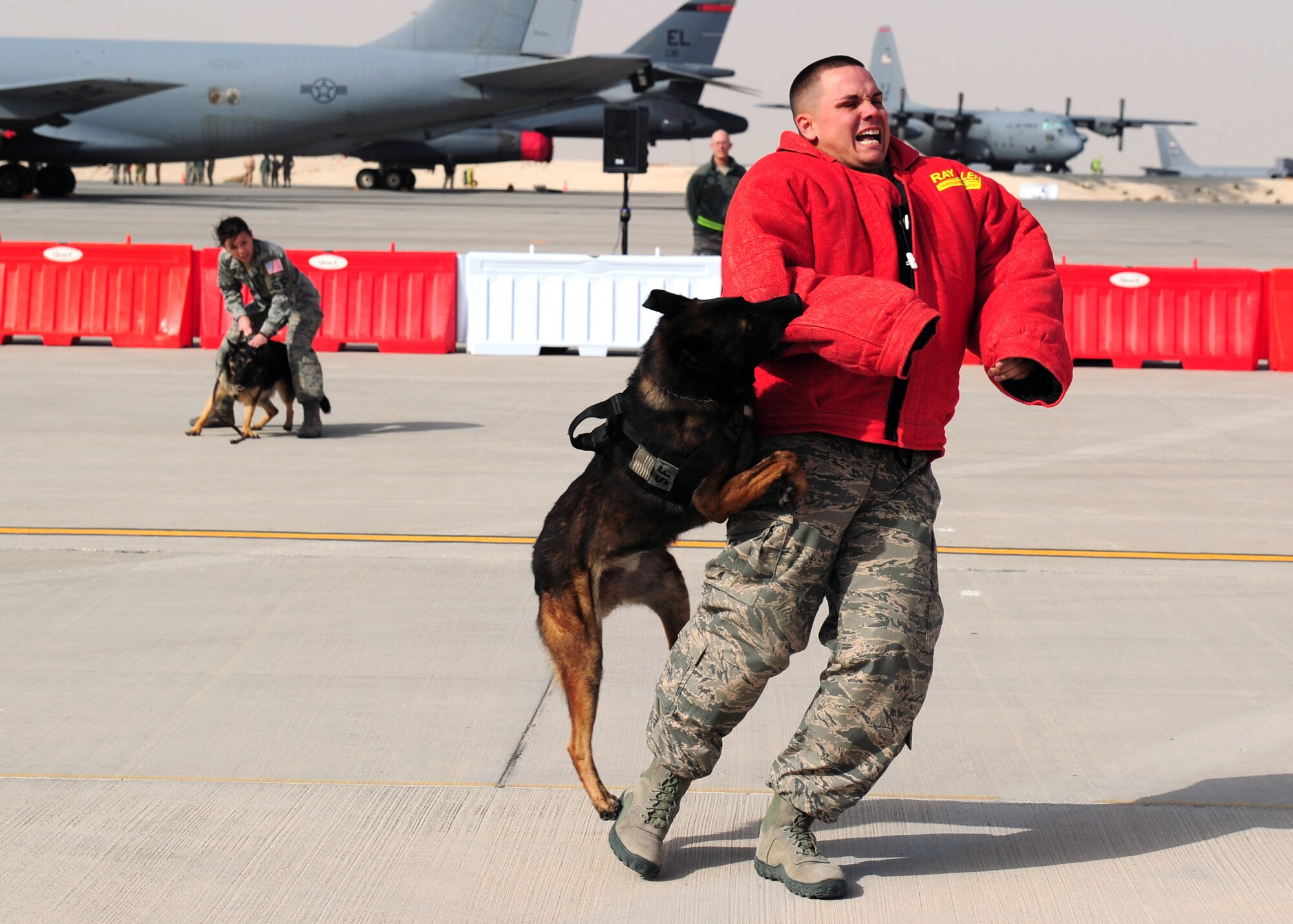 SOUTHWEST ASIA – 379th Expeditionary Security Forces Squadron members participate in a working dog demonstration display during the annual Flight Line Fest Jan. 14 at the 379th Air Expeditionary Wing. The event had live music by the U.S. Air Force Central Command Band, static aircraft and was an opportunity for Airmen and non-service members alike to learn more about operations. (U.S. Air Force photo by Master Sgt. Brendan Kavanaugh)