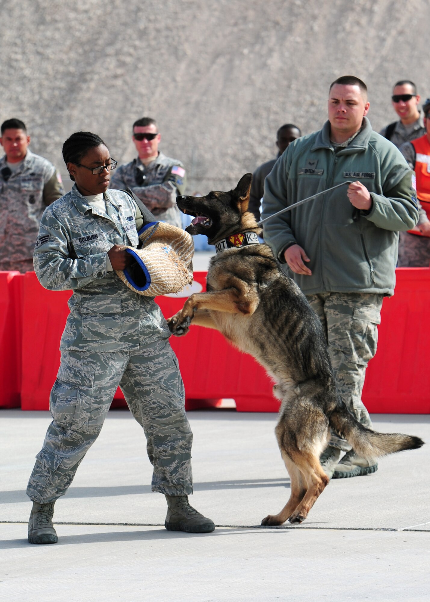 SOUTHWEST ASIA – 379th Expeditionary Security Forces Squadron members participate in a working dog demonstration display during the annual Flight Line Fest Jan. 14 at the 379th Air Expeditionary Wing. The event had live music by the U.S. Air Force Central Command Band, static aircraft and was an opportunity for Airmen and non-service members alike to learn more about operations. (U.S. Air Force photo by Master Sgt. Brendan Kavanaugh)