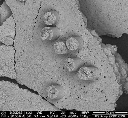 Research results show micropillars of calcium carbonate (CaCO3) formed by infilling of the polycarbonate membrane and liftoff of membrane to reveal template mineral deposit.