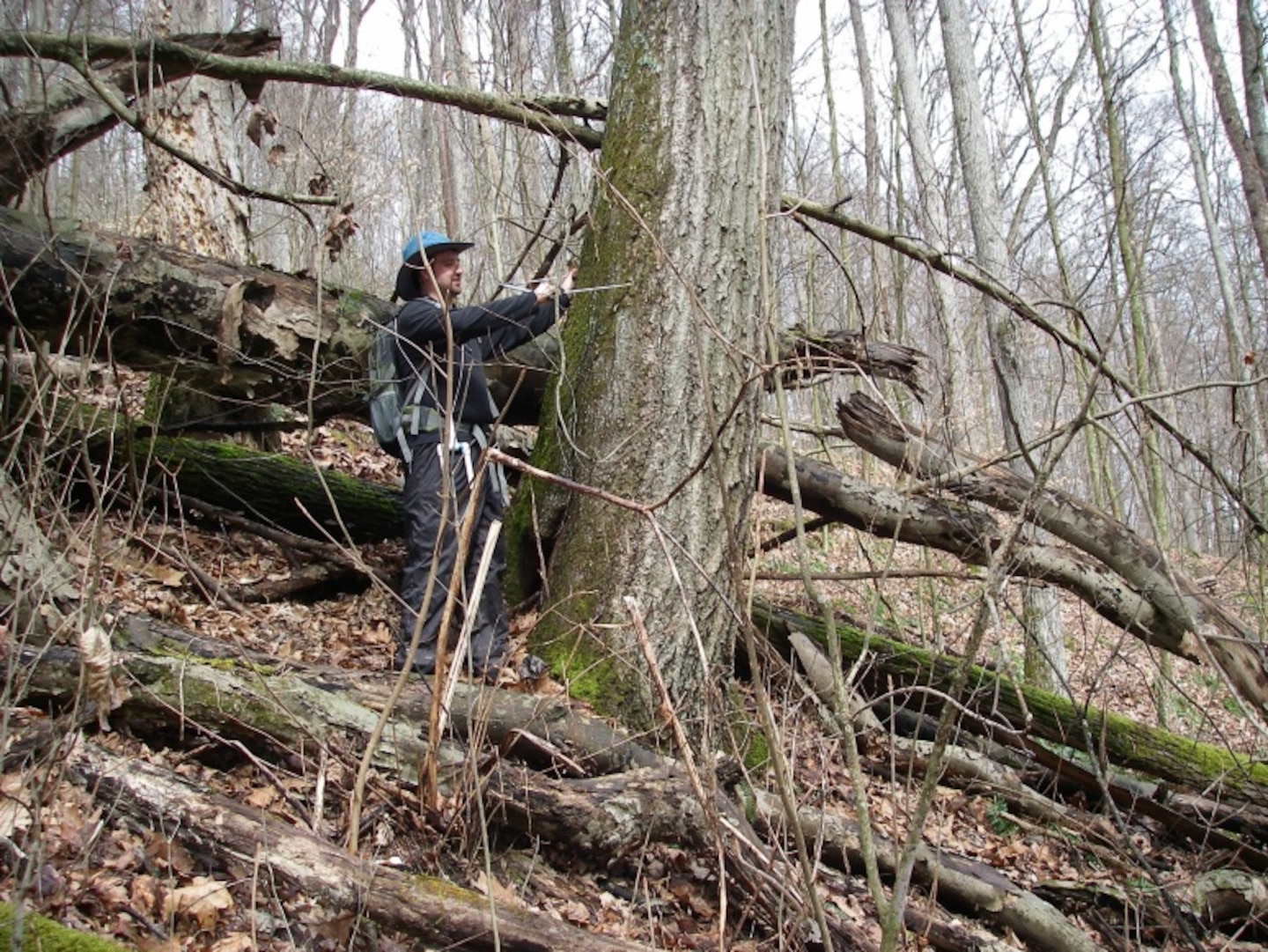 The HGM Approach assesses functionality of a wetlands ecosystem by measuring interactions between its structural components and the surrounding landscape.