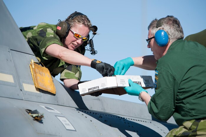 Swedish Air Force crew chiefs from the 172nd Fighter Squadron, F17 Blekinge Wing, remove panel screws from a SAAB JAS-39C Gripen during a routine maintenance inspection on the Nellis Air Force Base flight line Jan. 21, 2013. Approximately 100 people from the Swedish AF will participate in the two-week long RED FLAG 13-2 exercise. (U.S. Air Force photo by Lawrence Crespo)