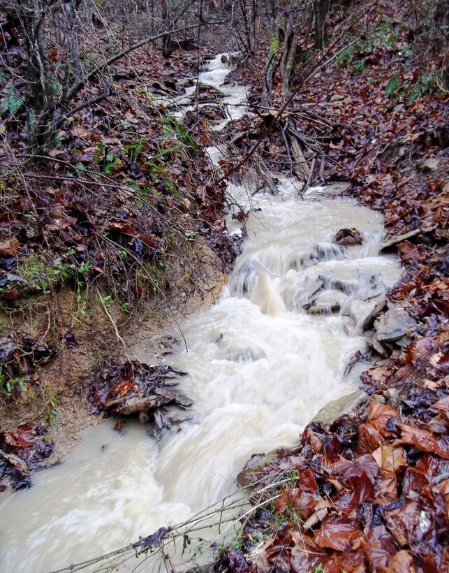 An intermittent stream that was awoken by recent steady rainfall around Carr Creek Lake in Sassafras, Ky. (U.S. Army Corps of Engineers photo by Edie Wright)