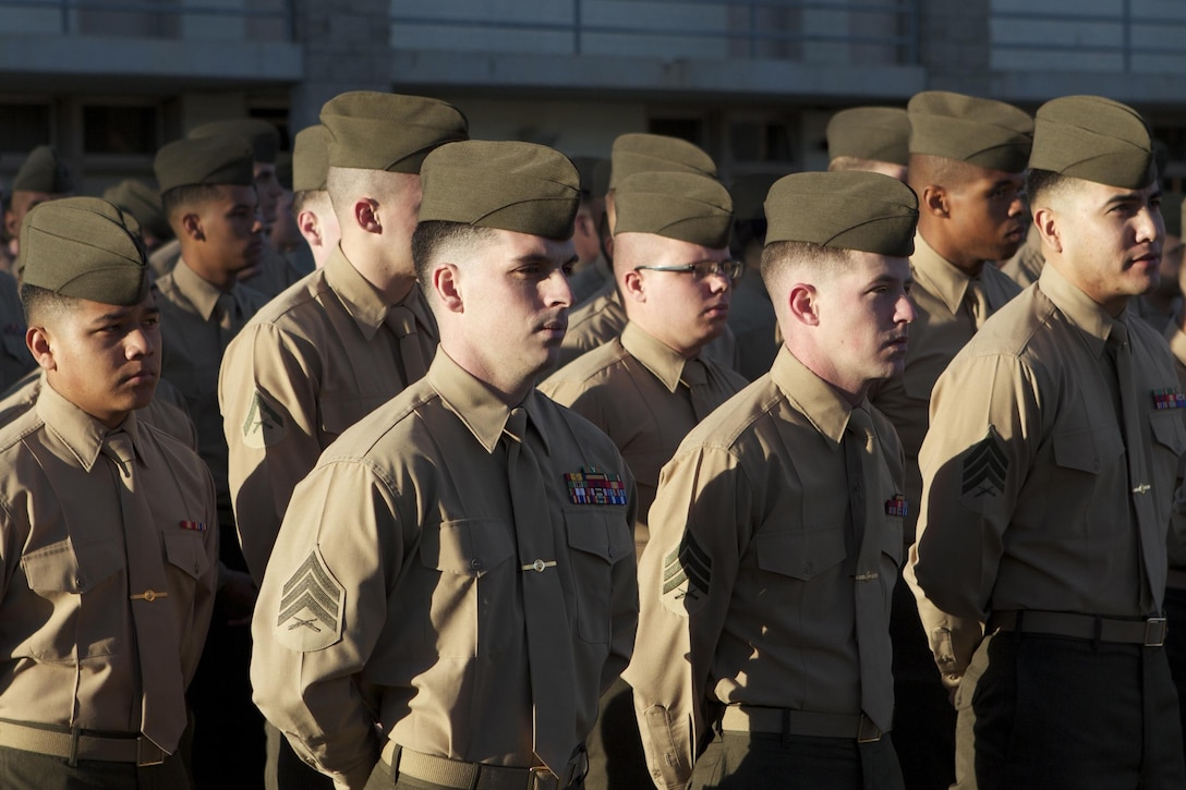 Marines with 1st Light Armored Reconnaissance Battalion stand in formation during an award ceremony here, Jan. 22, 2013. The Marines wore the service uniform to the ceremony as directed by the commanding general of the 1st Marine Division, Maj. Gen. Ronald L. Bailey. The service uniform is increasingly being worn throughout the Marine Corps because of guidance from commanders and the Commandant of the Marine Corps, Gen. James F. Amos. The service uniform requires strict maintenance and attention to be worn properly, and it trains Marines to pay attention to minute details.(U.S. Marine Corps photo by Lance Cpl. Joseph D. Scanlan)


