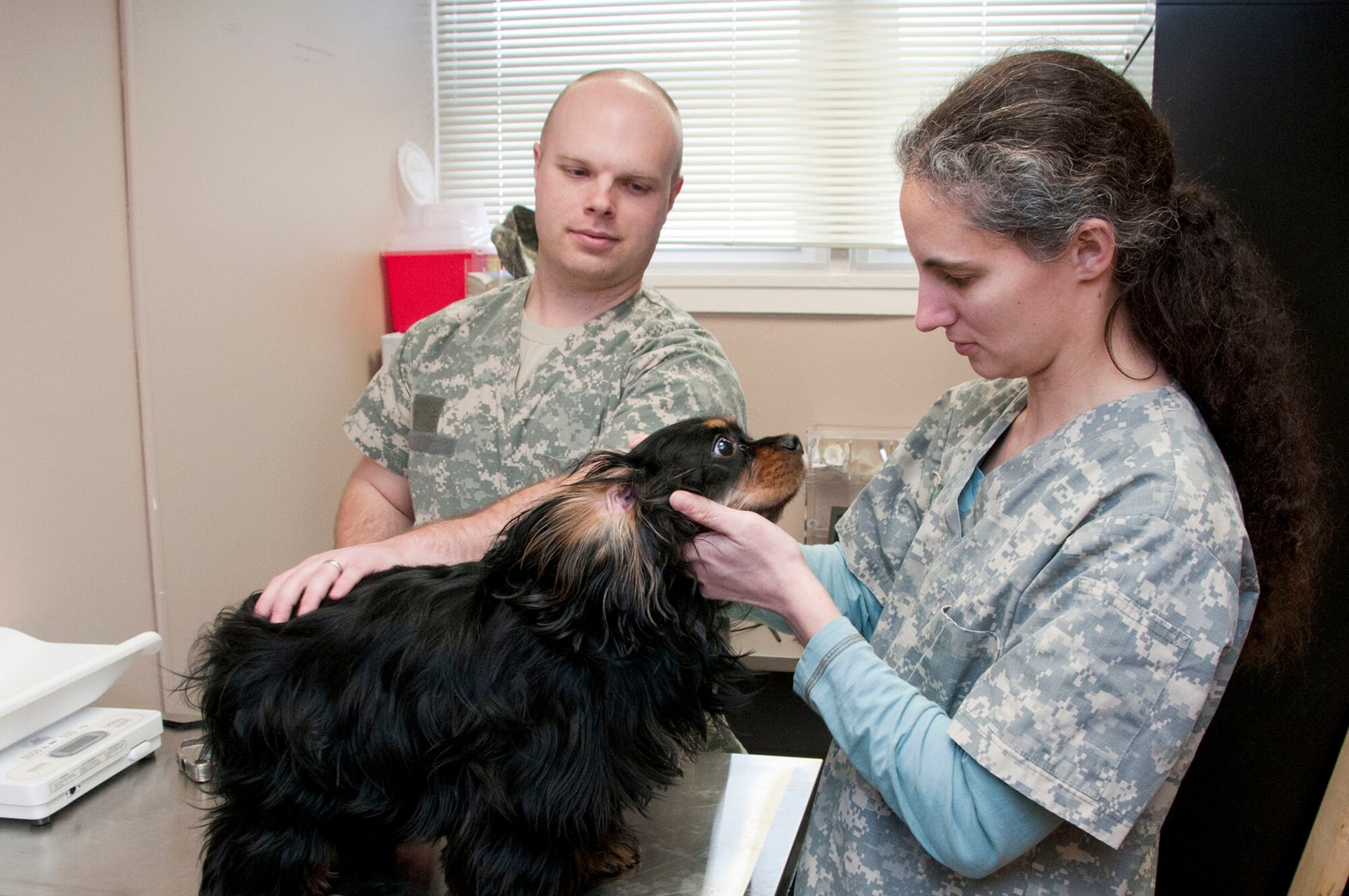 HANSCOM AIR FORCE BASE, Mass. -- Dr. Heather Mazzaccaro performs a routine exam on Chloe as Staff Sgt. Robert Parrot assists at the new veterinary clinic Jan. 22. The clinic recently relocated to Building 1217 after damage from a storm caused mold to form in the original location. (U.S. Air Force photo by Mark Wyatt)