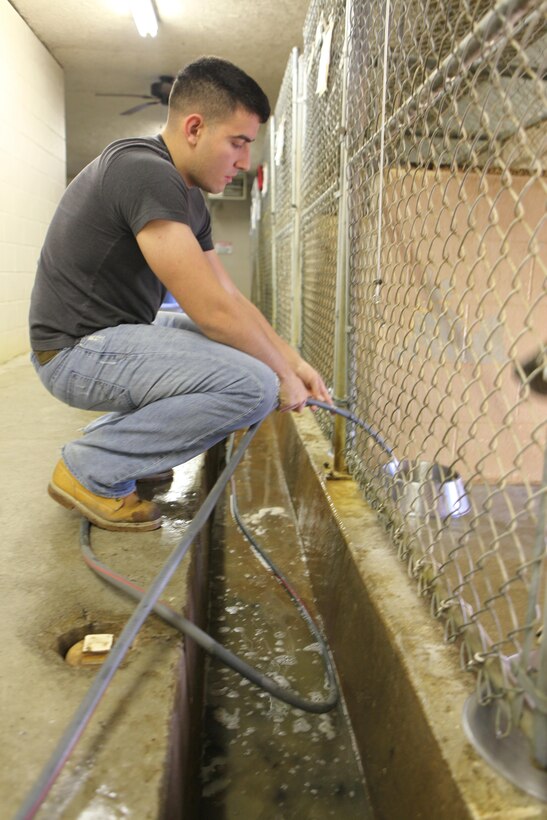 Lance Cpl. Christopher R. Legeune, an aircraft maintenance administration specialist with Marine Attack Squadron 223, fills water bowls in the dog kennels at the Carteret County Humane Society Jan. 19.