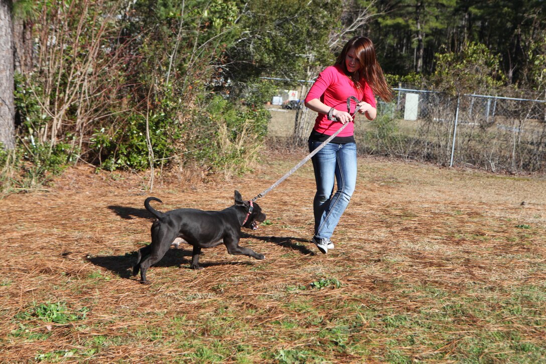 Pfc. Emily D. Torres, an administrative specialist with Marine Wing Headquarters Squadron 2, walks a dog at the Carteret County Humane Society in Newport Jan. 19. Marine volunteers cleaned kennels and cages, fed the shelters’ residents and walked the dogs.