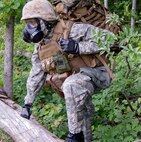 USMC