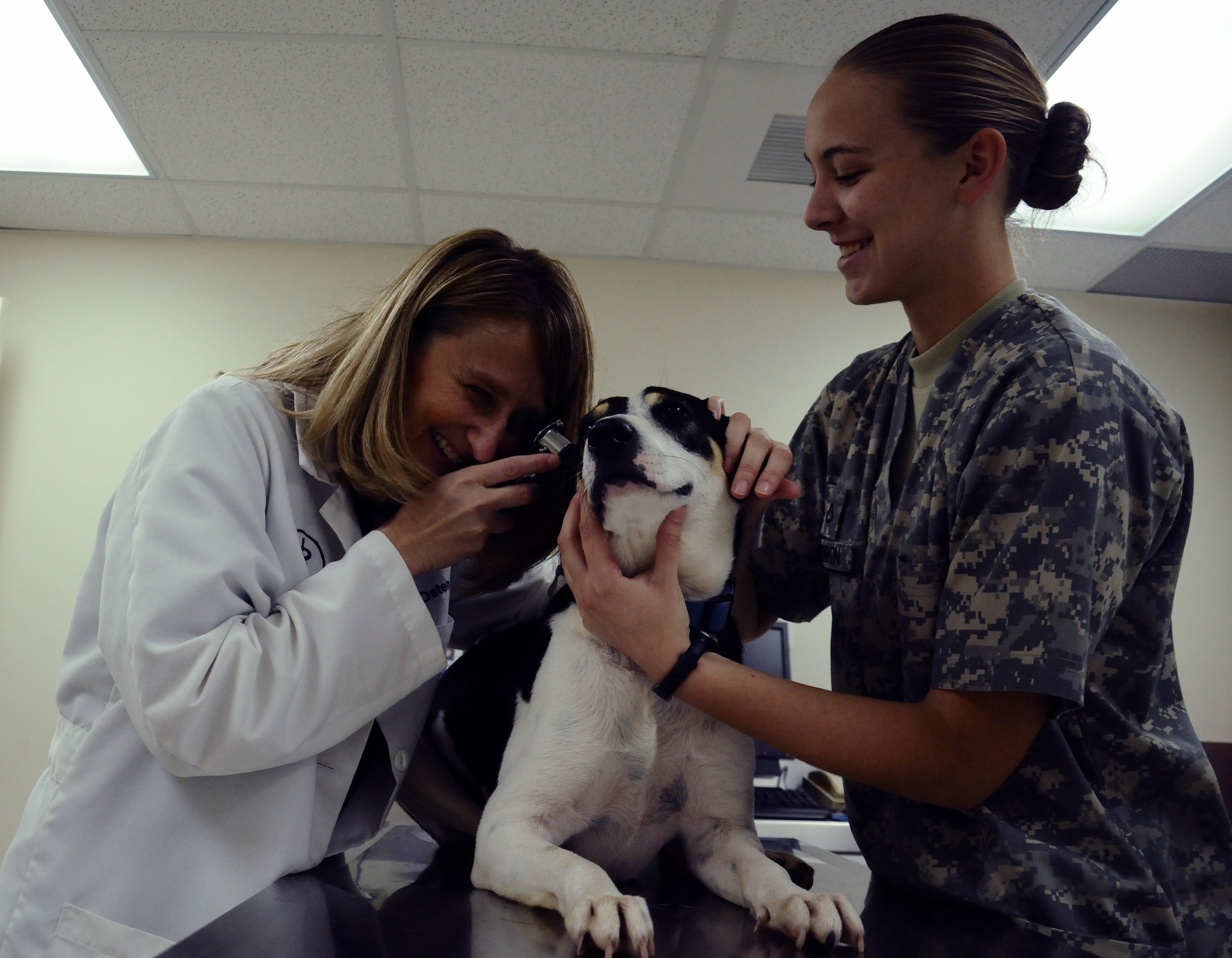 ANDERSEN AIR FORCE BASE, Guam—Dr. Cathy Osten, Public Health Command District Western Pacific civilian veterinarian, examines a canine’s ear with the assistance of Pfc. Shelby Coldiron, Public Command District WESPAC animal care specialist at the Andersen Air Force Base veterinary treatment facility, Jan. 24, 2013. The veterinary treatment facility is responsible for the health of Andersen’s military working dogs, Department of Defense working animals and provides care to privately owned pets. (U.S. Air Force photo by Airman 1st Class Mariah Haddenham/Released)

