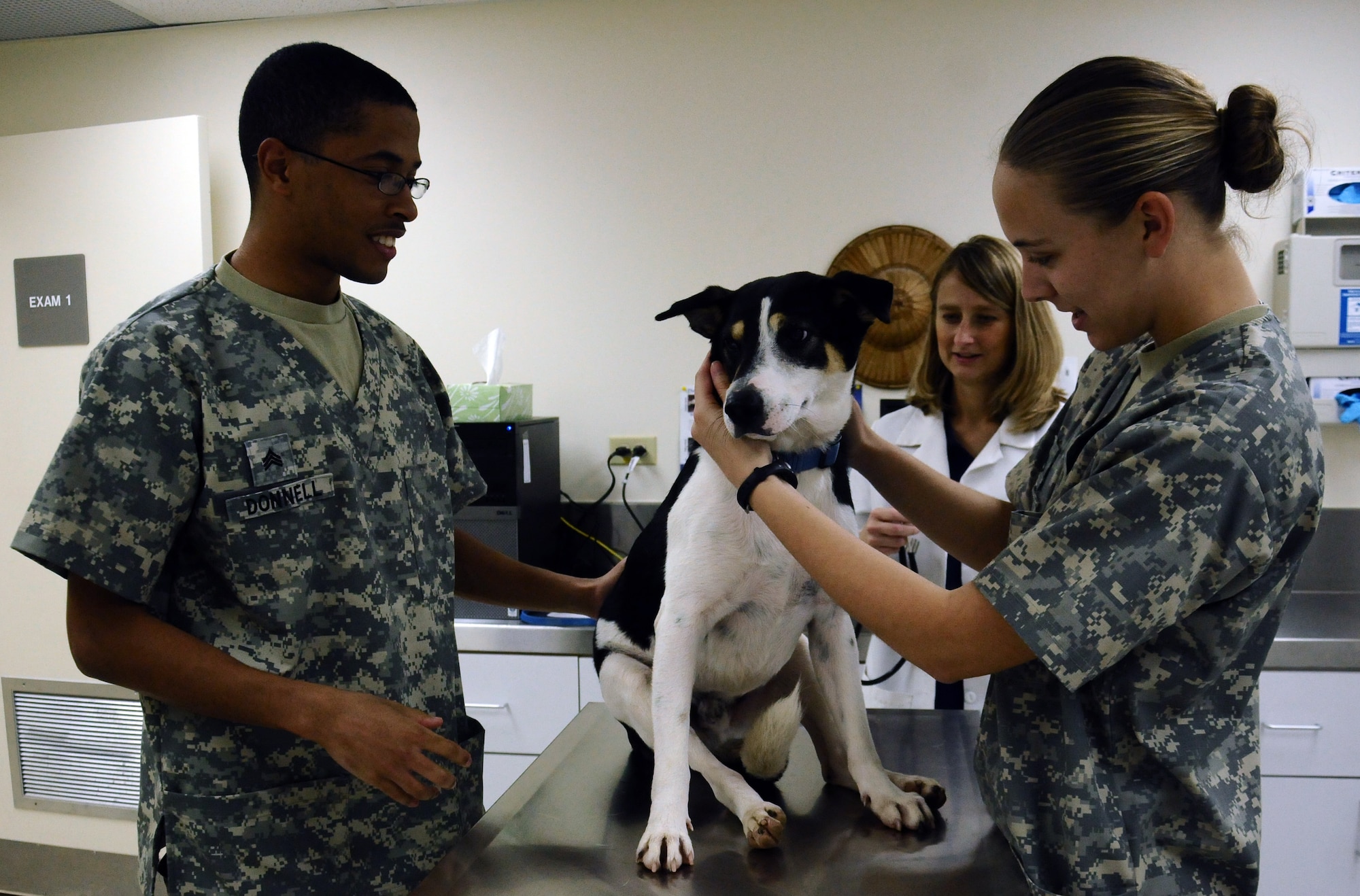 ANDERSEN AIR FORCE BASE, Guam— Army Sgt. Jared Donnell, Public Health Command District Western Pacific animal care specialist, and Army Pfc. Shelby Coldiron, Public Health Command District WESPAC animal care specialist examine a canine at the Andersen Air Force Base veterinary treatment facility, Jan. 24, 2013. The veterinary treatment facility is responsible for the health of Andersen’s military working dogs, Department of Defense working animals and provides care to privately owned pets.(U.S. Air Force photo by Airman 1st Class Mariah Haddenham/Released)