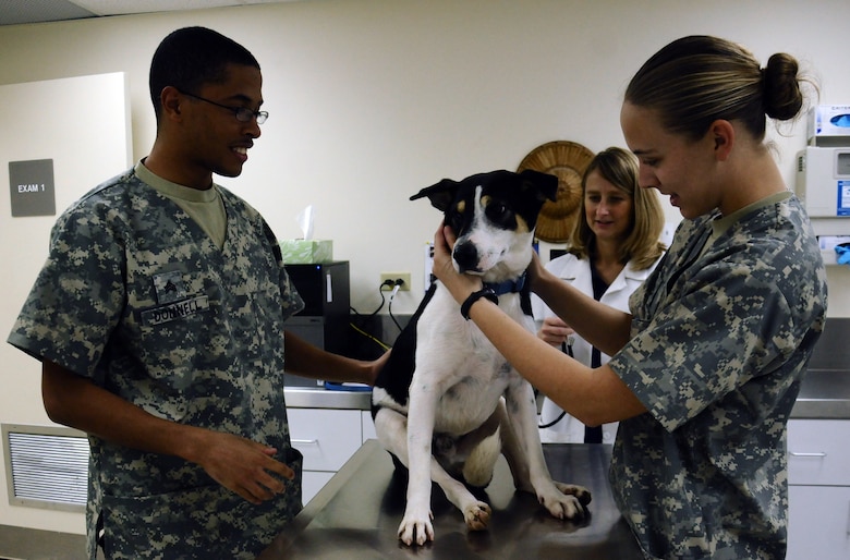 Vet clinic supports Andersen’s animals > Andersen Air Force Base