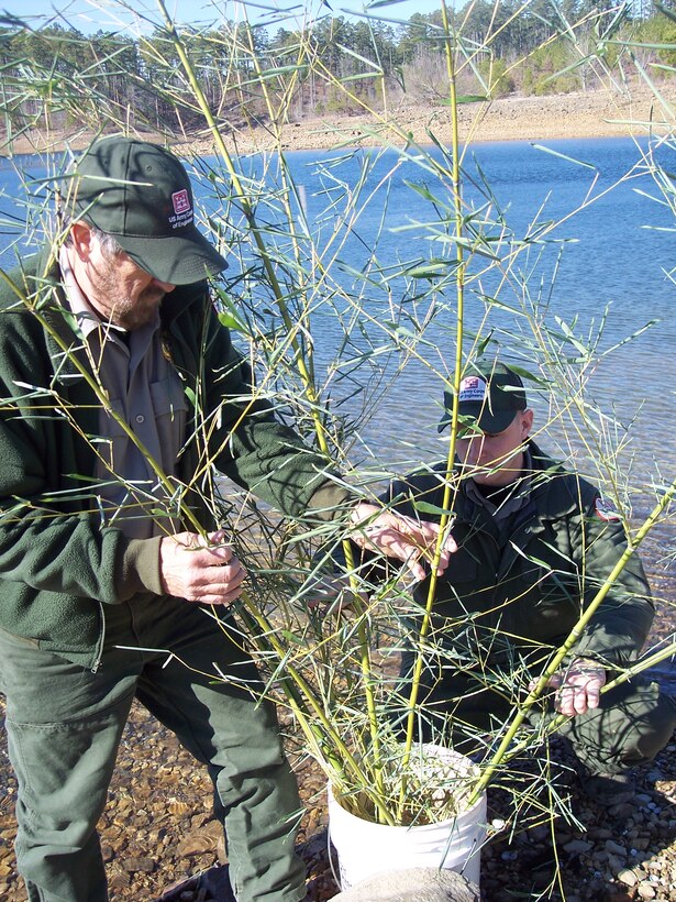 Two Vicksburg District rangers prepare a fish habitat at Sardis Lake.