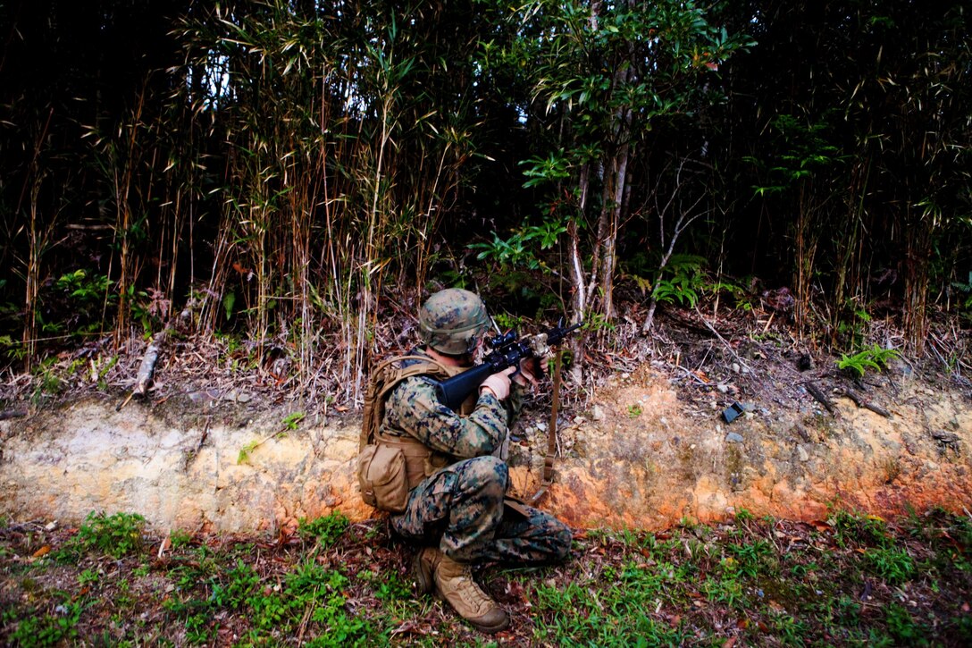 A Marine with Company A., Battalion Landing Team 1st Battalion, 5th Marine Regiment, 31st Marine Expeditionary Unit, maintains security during a mechanized raid here, Jan 24. The raid began from the USS Germantown (LSD-42), located off the coast of Okinawa, as part of their pre-deployment training for Spring Patrol 2013. The 31st MEU is the only continuously forward-deployed MEU and is the Marine Corps’ force in readiness in the Asia-Pacific region.