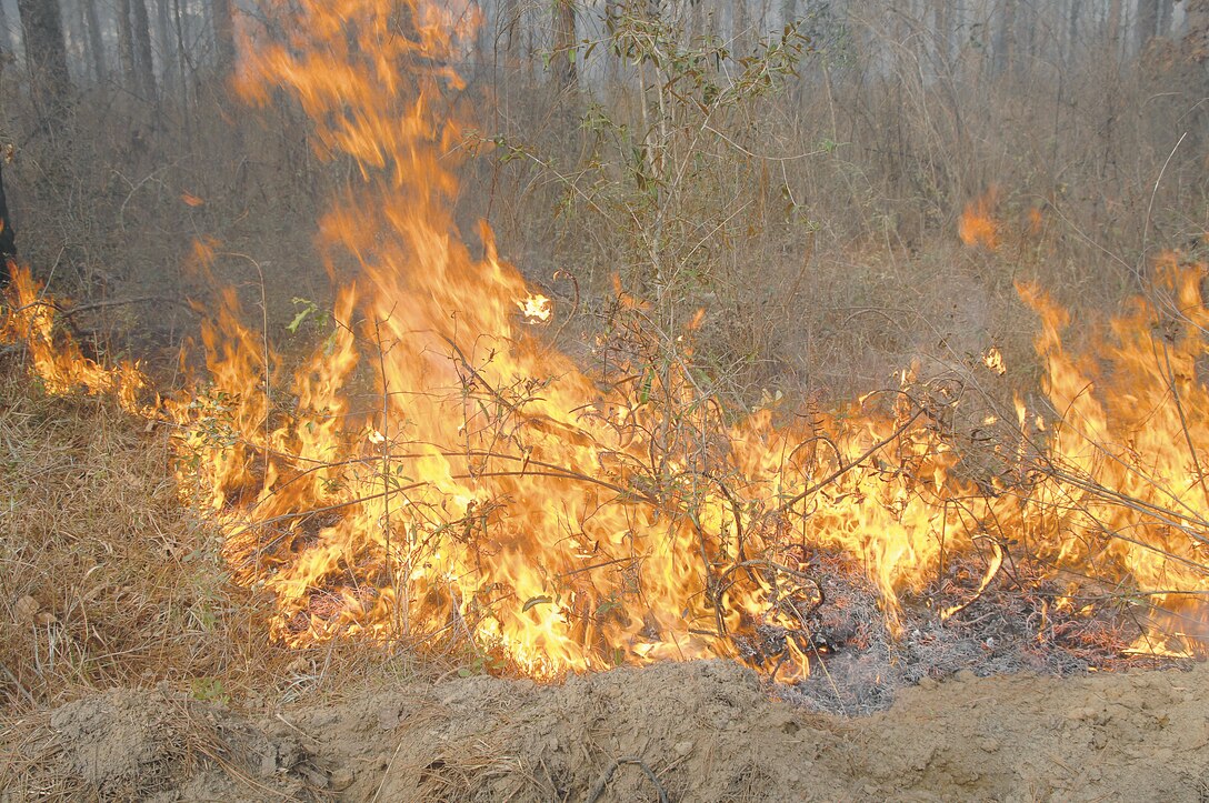 Marine Corps Logistics Base Albany’s Natural Resources Section is currently conducting prescribed burning of base timber. Thirty to 40 acres is the average area burned on a typical day. There is about 725 acres of forest scheduled to be burned by the end of March.