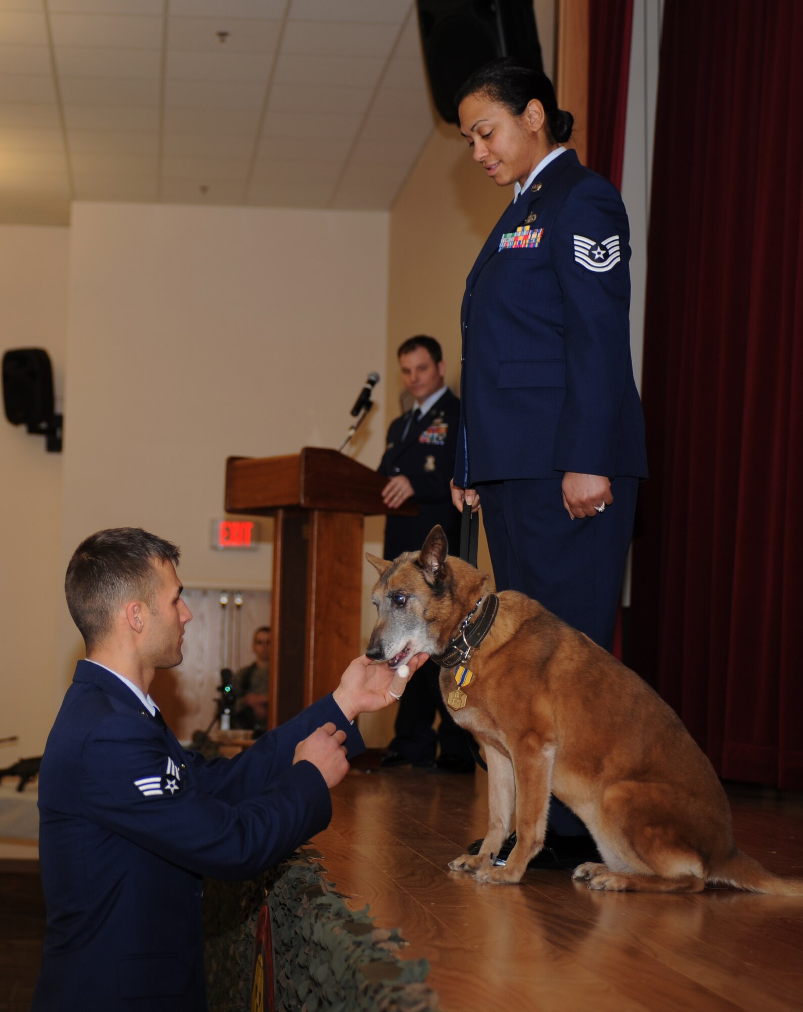 U.S. Air Force Senior Airman Scott Menadue, 366th Security Forces Squadron military working dog handler, feeds retired MWD Tanja a piece of steak while Tech. Sgt. Roseann Kelly, 366th Security Forces Squadron assistant flight chief, looks on during Tanja’s retirement ceremony Jan. 31, 2013, at Mountain Home Air Force Base, Idaho. The Belgian Malinois retired after more than 11 years of service and five deployments. Kelly, who was Tanja’s last handler, adopted the canine upon her retirement. (U.S. Air Force photo by Senior Airman Benjamin Sutton)