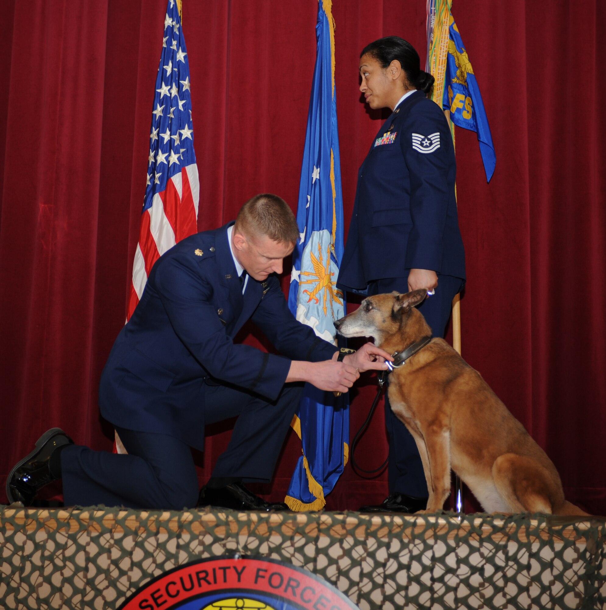 U.S. Air Force Maj. Ryan Bodge, 366th Security Forces Squadron commander, pins a Commendation Medal on retired military working dog Tanja while the canine’s last handler, Tech. Sgt. Roseann Kelly, looks on at Mountain Home Air Force Base, Idaho, Jan. 31, 2013. Tanja, a detection and patrol dog, retired after more than 11 years of service and five deployments. (U.S. Air Force photo by Senior Airman Benjamin Sutton)