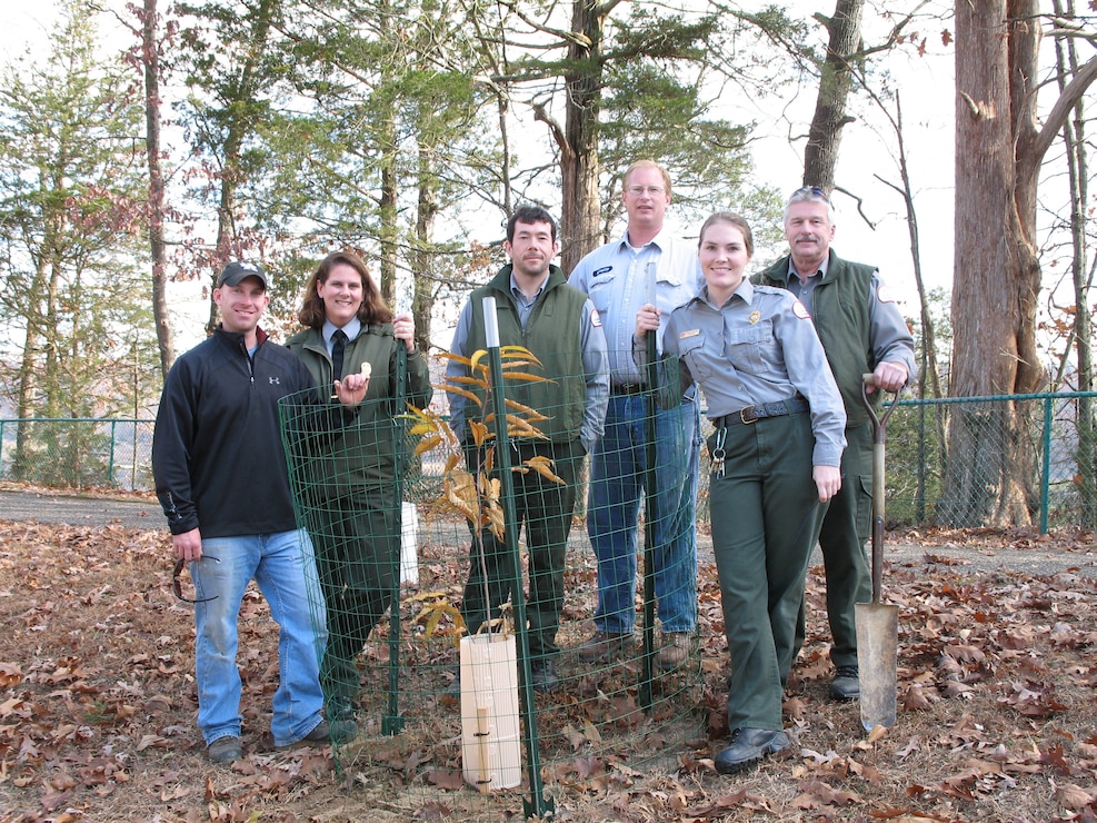 Green River Lake staff members Tyler Royce, Lori Brewster, Larry Lemmon, David Wethington, Andrea O’Bryan and Jim Goode stand next to a newly-planted chestnut tree.