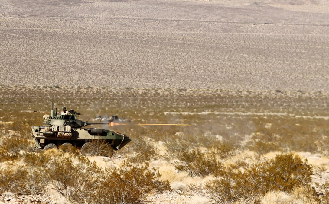 Marines with 3rd Light Armored Reconnaissance Battalion conduct a platoon live-fire exercise at Black Top training area June 20, 2013.