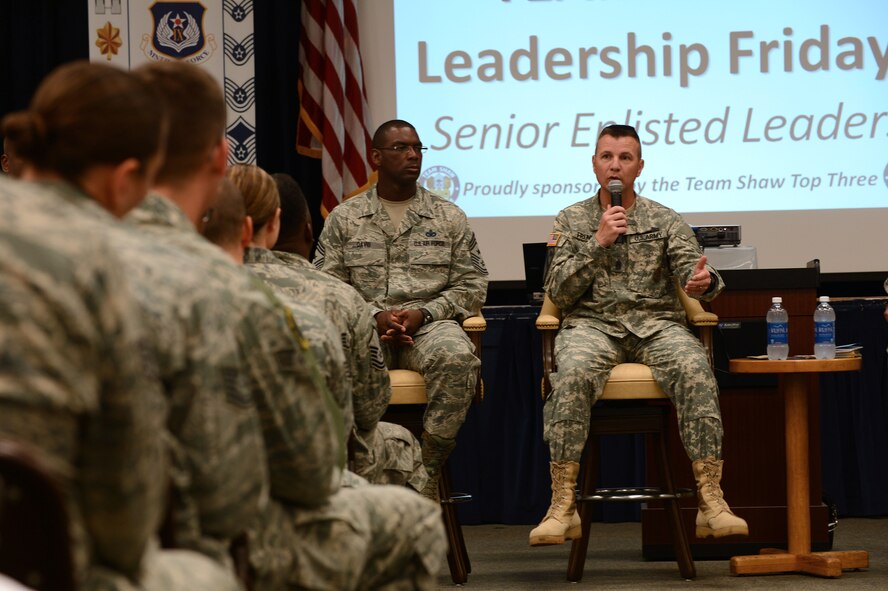 U.S. Army Command Sgt. Maj. Stephan Frennier, Third Army/U.S. Army Central senior enlisted advisor, speaks to service members at a senior enlisted leadership Shaw Air Force Base, S.C., June 28, 2013. Frennier, along with five U.S. Air Force chief master sergeants, attended the event. (U.S. Air Force photo by Airman 1st Class Nicole Sikorski/Released) 