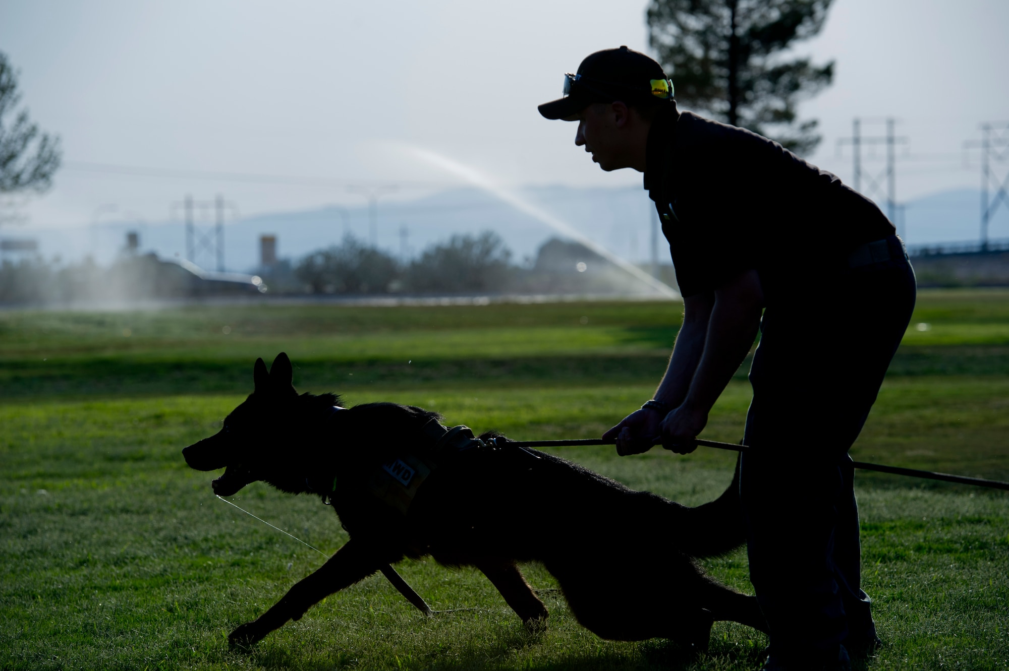 Military Working Dog Boby receives encouragement from Staff Sgt. Josef Lopuchowycz, 49th Security Forces Squadron K9 handler, during aggression training at Oñate High School in Las Cruces, N.M., June 19.  The Doña Ana County Sheriff’s Department teams up with the K9 handlers from Holloman Air Force Base once per month to perform remedial training for dogs that show a lack of drive or intensity. (U.S. Air Force photo by Airman 1st Class Aaron Montoya/Released)
