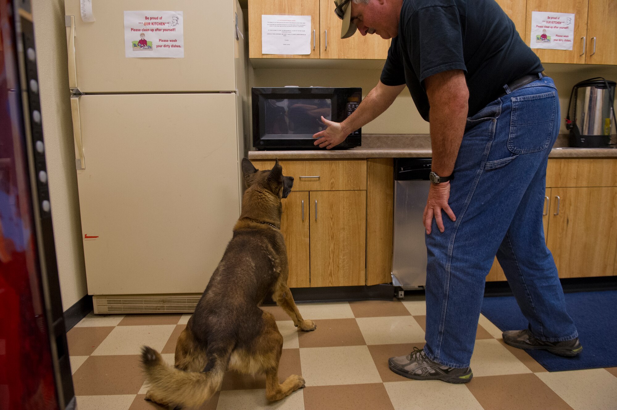 Sergeant Jerry Madden, Doña Ana County Sheriff’s Department, K9 handler since 1981, demonstrates the proper methods for bomb detection with his dog, Snitch, at the Doña Ana county Sheriff’s department in Las Cruces, N.M., June 19. The Doña Ana County Sheriff’s Department teams up with the K9 handlers from Holloman Air Force Base once per month to conduct additional training for both the MWDs and their handlers. (U.S. Air Force photo by Airman 1st Class Aaron Montoya/Released)