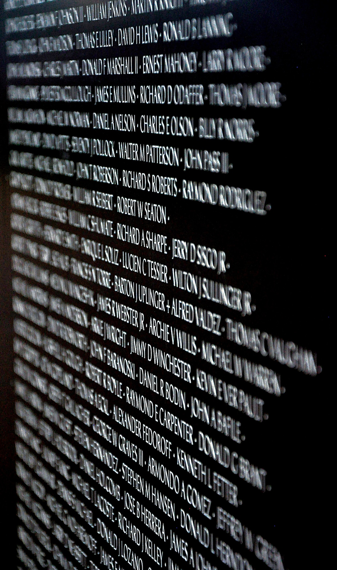 A selection of names listed on one panel of the Traveling Vietnam Memorial Wall, which was on display in Lions Park, Cheyenne, Wyo., from June 20 through June 23, 2013. During the Vietnam War, there were 121 Wyoming casualties, 13 of those being from Cheyenne residents. (U.S. Air Force photo by Senior Airman Mike Tryon)