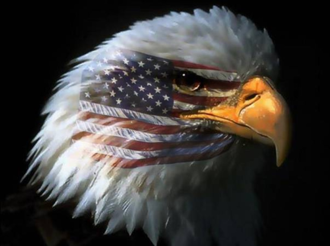 “Eagle Eyes” is a suspicious activity reporting program developed through the combined efforts of Marine Corps Installations West and the 1st Marine Expeditionary Force. The program encourages people, on and off Marine Corps Base Camp Pendleton, Calif., to participate and play an important role in deterring, detecting and defeating criminal or terrorist crimes. The purpose of Eagle Eyes is to ensure the community knows what to look for and how to report suspicious activity to the local authorities on base.