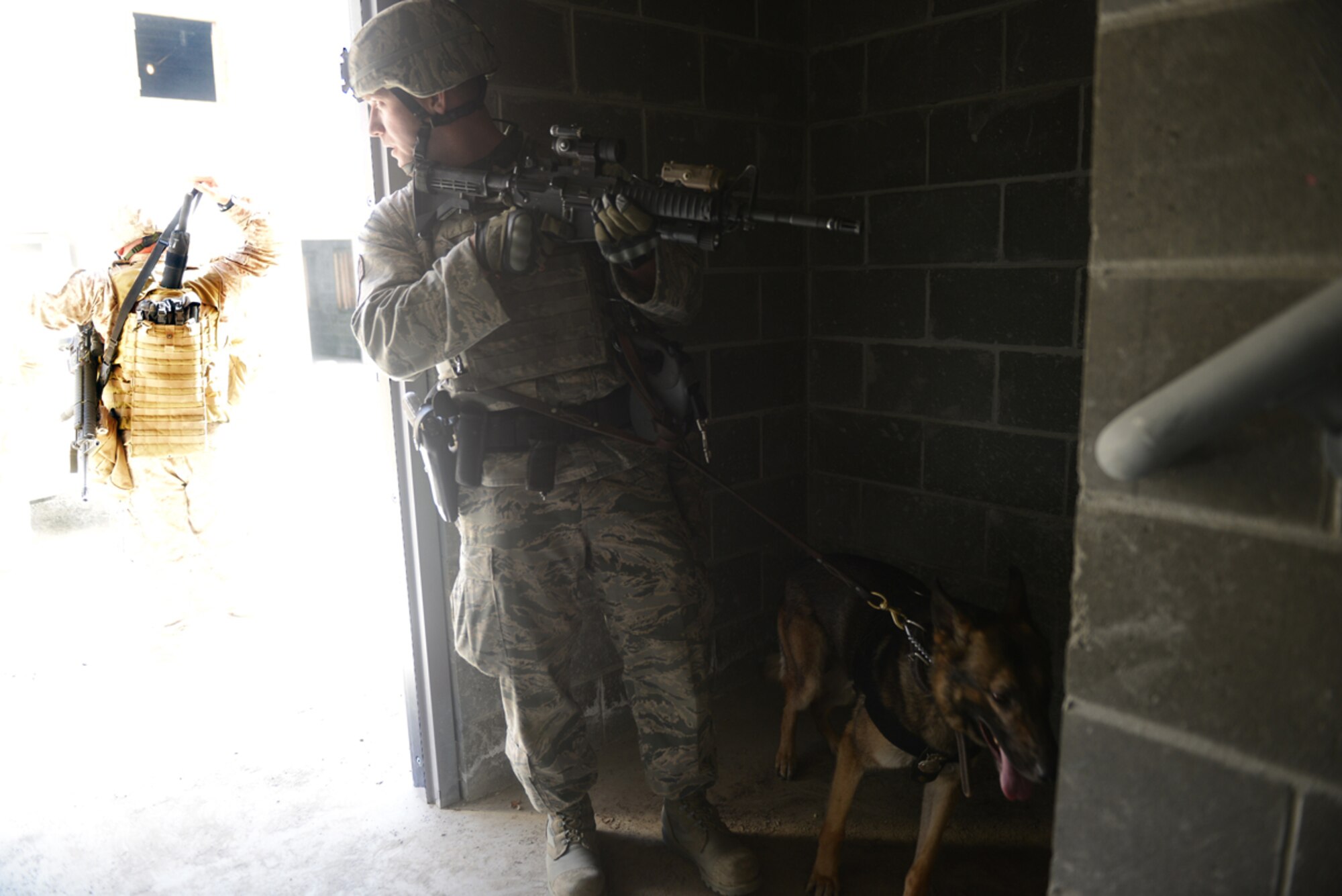 JOINT BASE ELMENDORF-RICHARDSON, Alaska -- Air Force Staff Sgt. Gregory Maata, 673d Security Forces Squadron military dog handler and Military Working Dog Sandor secure a building entrance during the Marine military police training at the Baumeister training ground June 24. The training was done to prepare them for their migration into the military police field. The training spanned 14 days and reviewed concepts such as rules of engagement and use of force when in a foreign field. (U.S. Air Force photo/Airman 1st Class Ty-Rico Lea)