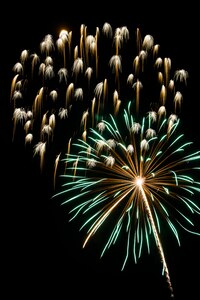 Fireworks explode in the sky June 28, during the 2013 Freedom Fest at Marrington Plantation at Joint Base Charleston – Weapons Station, S.C. Nearly 1,500 Airmen, Sailors, civilians and their families attended the celebration which included food, drinks, festival rides, music and fireworks. (U.S. Air Force photo/ Senior Airman George Goslin)
