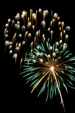 Fireworks explode in the sky June 28, during the 2013 Freedom Fest at Marrington Plantation at Joint Base Charleston – Weapons Station, S.C. Nearly 1,500 Airmen, Sailors, civilians and their families attended the celebration which included food, drinks, festival rides, music and fireworks. (U.S. Air Force photo/ Senior Airman George Goslin)