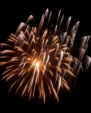 Fireworks explode in the sky June 28, during the 2013 Freedom Fest at Marrington Plantation at Joint Base Charleston – Weapons Station, S.C. Nearly 1,500 Airmen, Sailors, civilians and their families attended the celebration which included food, drinks, festival rides, music and fireworks. (U.S. Air Force photo/ Senior Airman George Goslin)