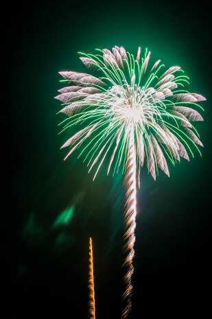 Fireworks explode in the sky June 28, during the 2013 Freedom Fest at Marrington Plantation at Joint Base Charleston – Weapons Station, S.C. Nearly 1,500 Airmen, Sailors, civilians and their families attended the celebration which included food, drinks, festival rides, music and fireworks. (U.S. Air Force photo/ Senior Airman George Goslin)
