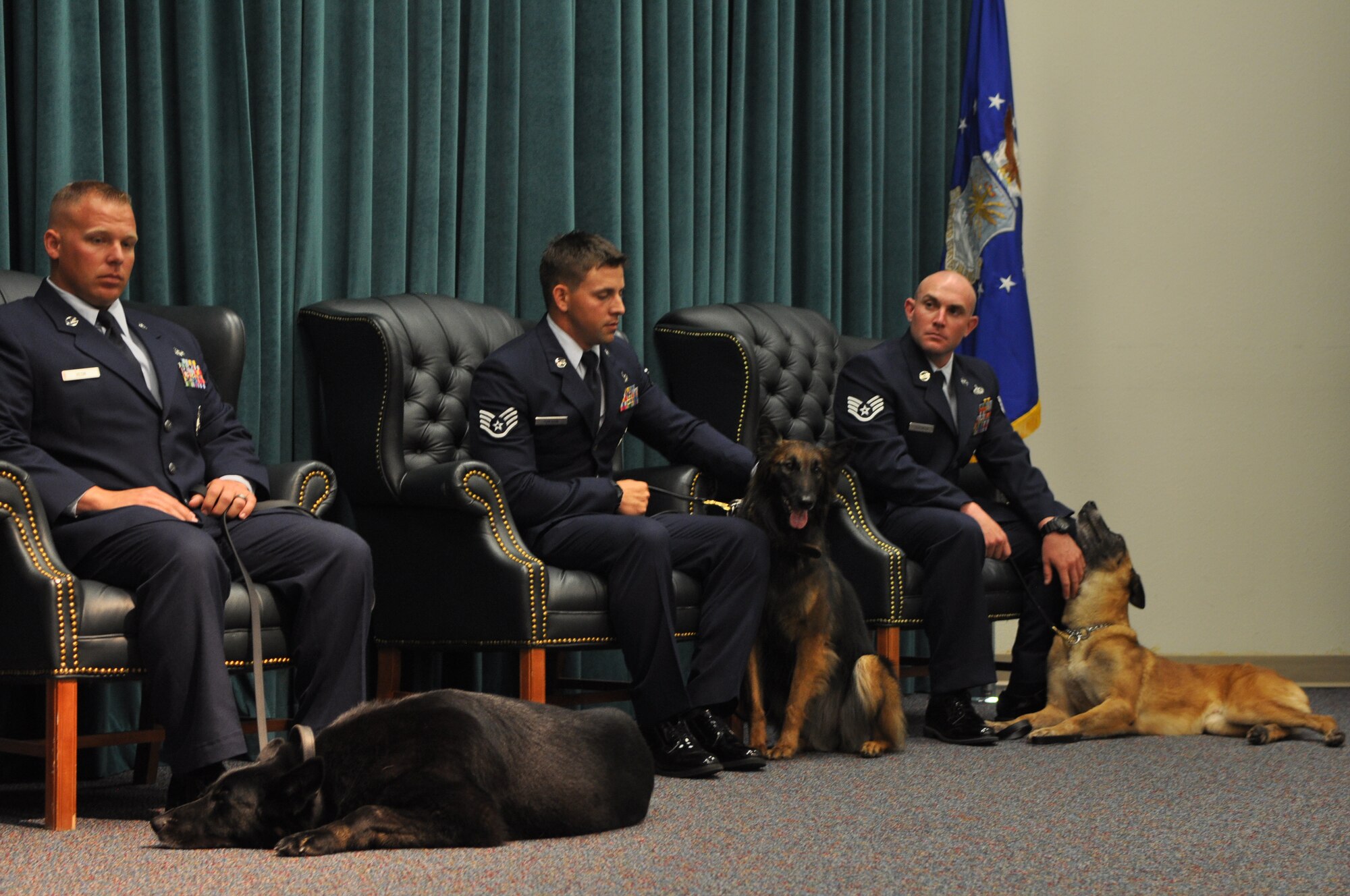 Military Working Dogs Blacky, Cita and Sheila, from left, were honored during a retirement ceremony June 25. Also retiring, but not at the ceremony, is Arras. Combined, these dogs have more than 2,500 hours of search time both at home and overseas. (Air Force photo by Micah Garbarino)