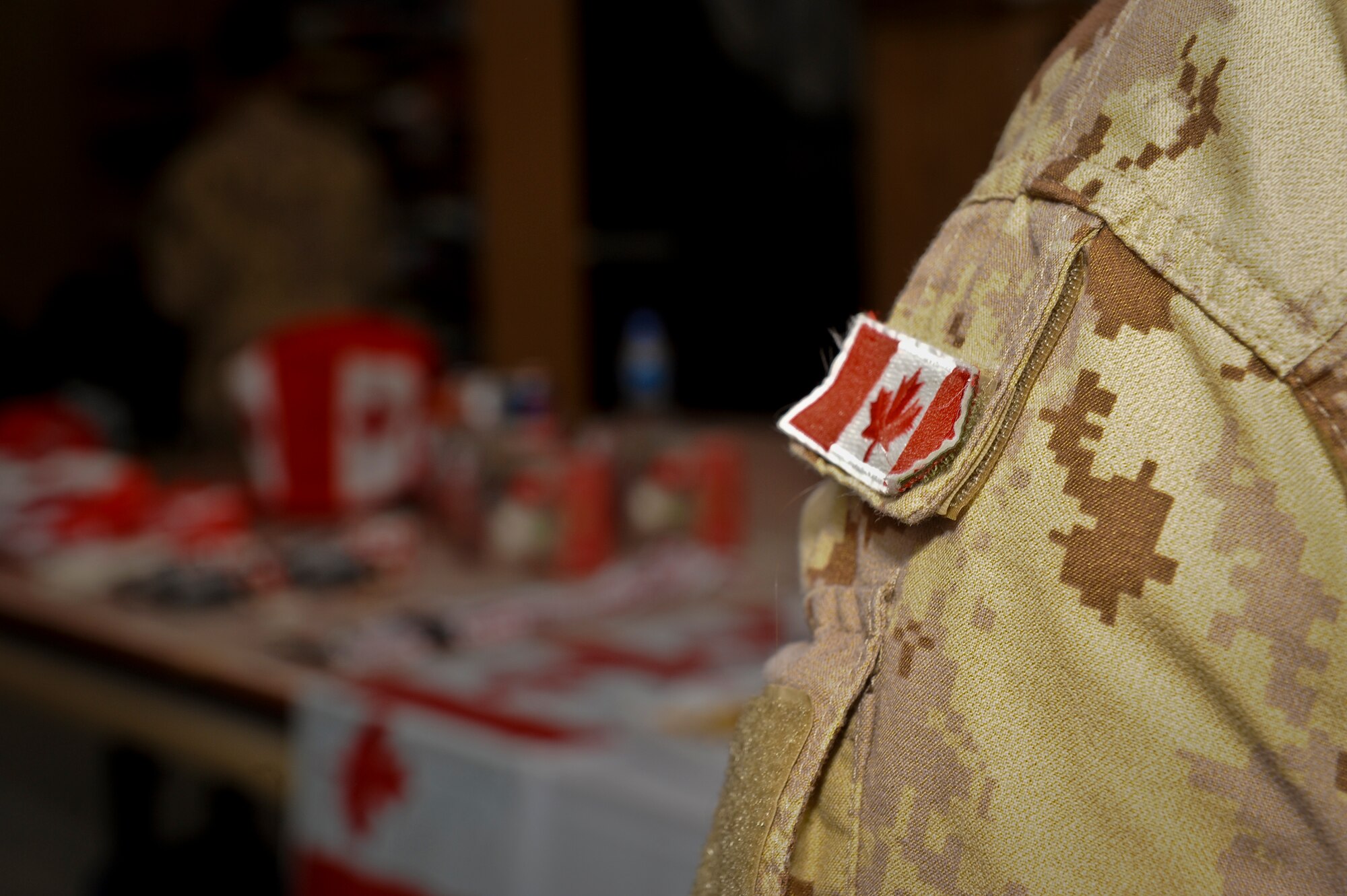 With Canadian flags strung from corner to corner, maple syrup candies on every table, and Canadian paraphernalia at every turn, Canadian, U.S., Australian, coalition and mission partners celebrated Canada?s birthday July 1, 2013, at the 379th Air Expeditionary Wing in Southwest Asia. The evening?s activities ranged from a Canadian trivia game to a guitar solo to board games. (U.S. Air Force photo/Senior Airman Benjamin Stratton)