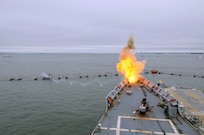 Explosives are detonated to convey the reality of a terrorist attack during Citadel Protect 2010. Citadel Protect is a series of training exercises to assess the Navy's capability to protect waterborne assets against threats in Navy ports. Citadel Protect is a coordinated event between U.S. Fleet Forces and Commander, Navy Installations Command.
