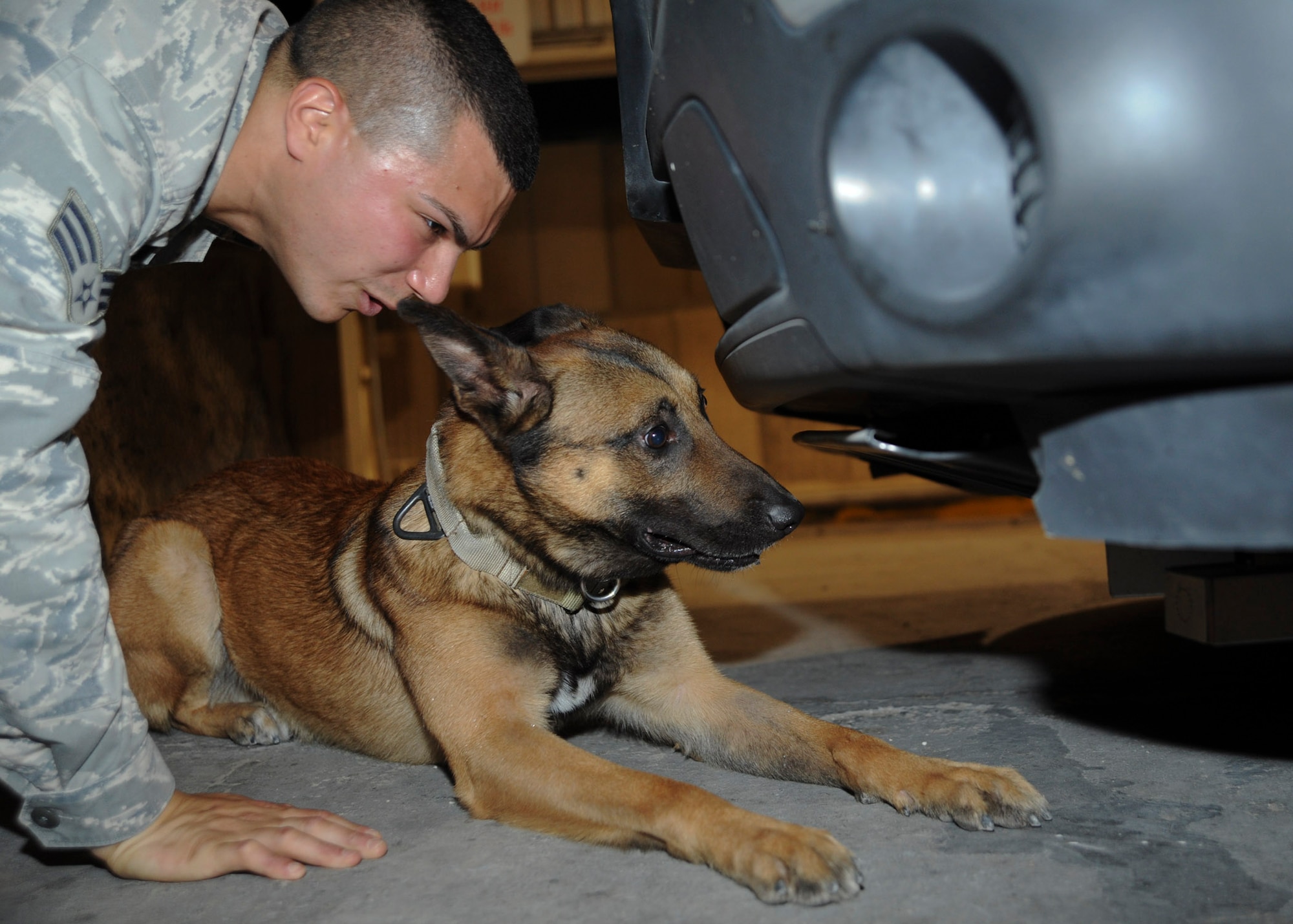 Senior Airman Andrew Hanus and Beni look underneath the bumper of a car during a vehicle check at the 379th Air Expeditionary Wing in Southwest Asia, July 2, 2013. The 379th Expeditionary Security Forces Squadron military working dog section performs vehicle inspections on every car entering the base. Hanus is a 379th ESFS MWD handler and Beni is a 379th ESFS MWD both deployed from Travis Air Force Base, Calif. (U.S. Air Force photo/Senior Airman Bahja J. Jones) 