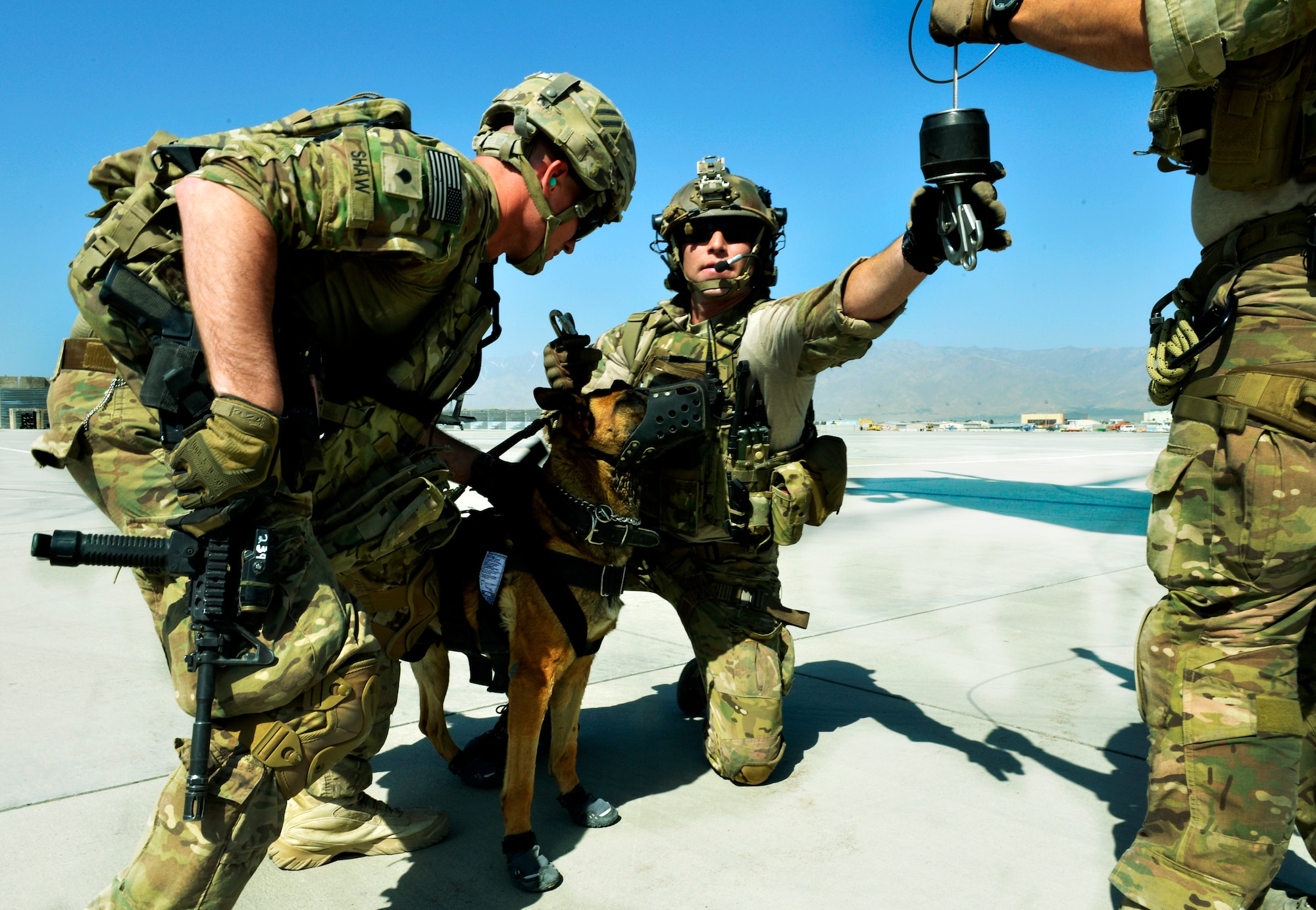 Senior Airman Jason Fischman, 83rd Expeditionary Rescue Squadron pararescueman, secures a hoist to an U.S. Army tactical explosive detection dog prior to loading into a HH-60G Pave Hawk helicopter during a training scenario at Bagram Airfield, Afghanistan, June 21.  This is the first time the 83rd RQS has participated in dog rescue training with the U.S. Army here. Fischman is deployed from Royal Air Force Lakenheath, England. (U.S. Air Force photo/ Staff Sgt. Stephenie Wade)