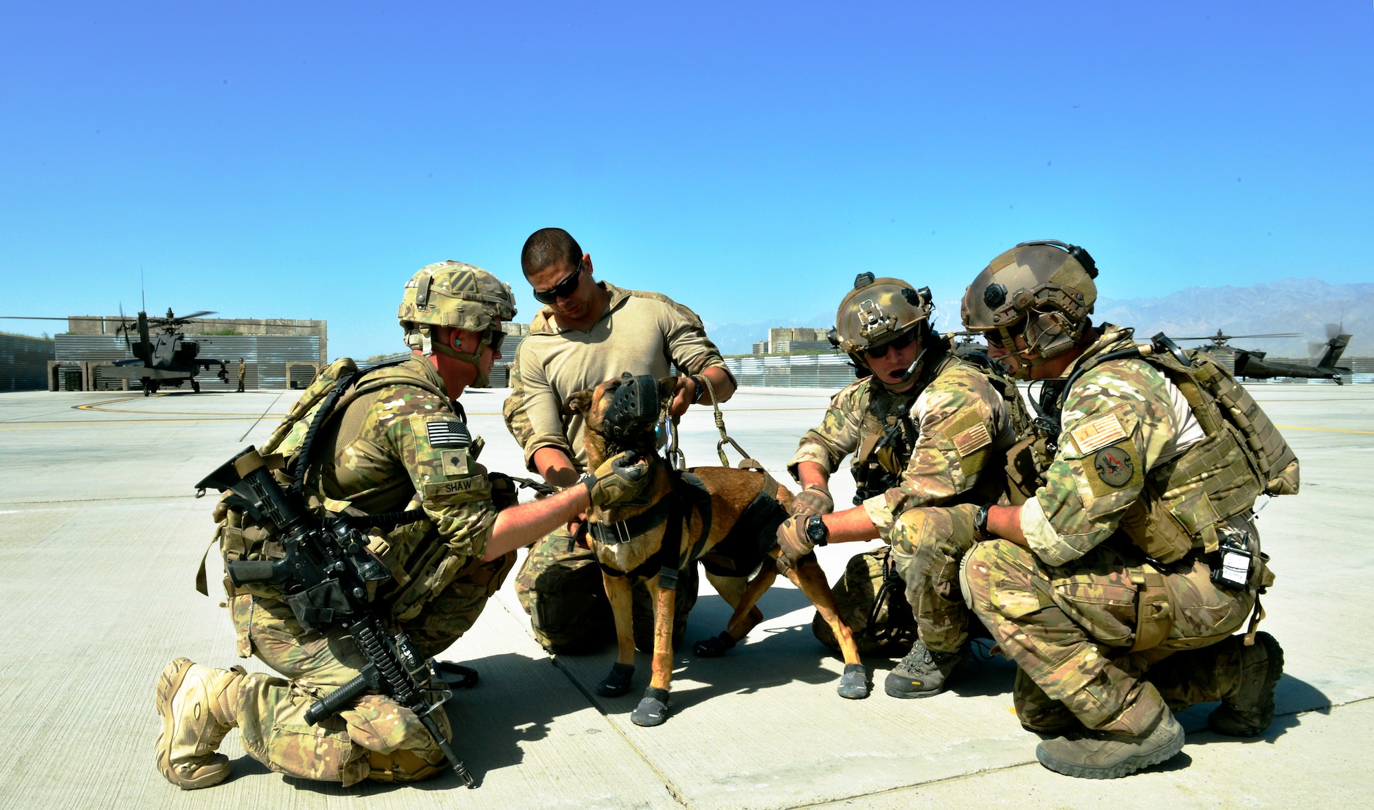 Pararescuemen assigned to the 83rd Expeditionary Rescue Squadron and Specialist Matthew Shaw, prepare an U.S. Army tactical explosive detection dog to be hoist into an HH-60G Pave Hawk helicopter during a rescue training at Bagram Airfield, Afghanistan, June 21. More than 15 U.S. Army TED dogs and their handlers participated in the training  This is the first time the 83rd RQS has participated in dog rescue training with the U.S. Army here. (U.S. Air Force photo/ Staff Sgt. Stephenie Wade)