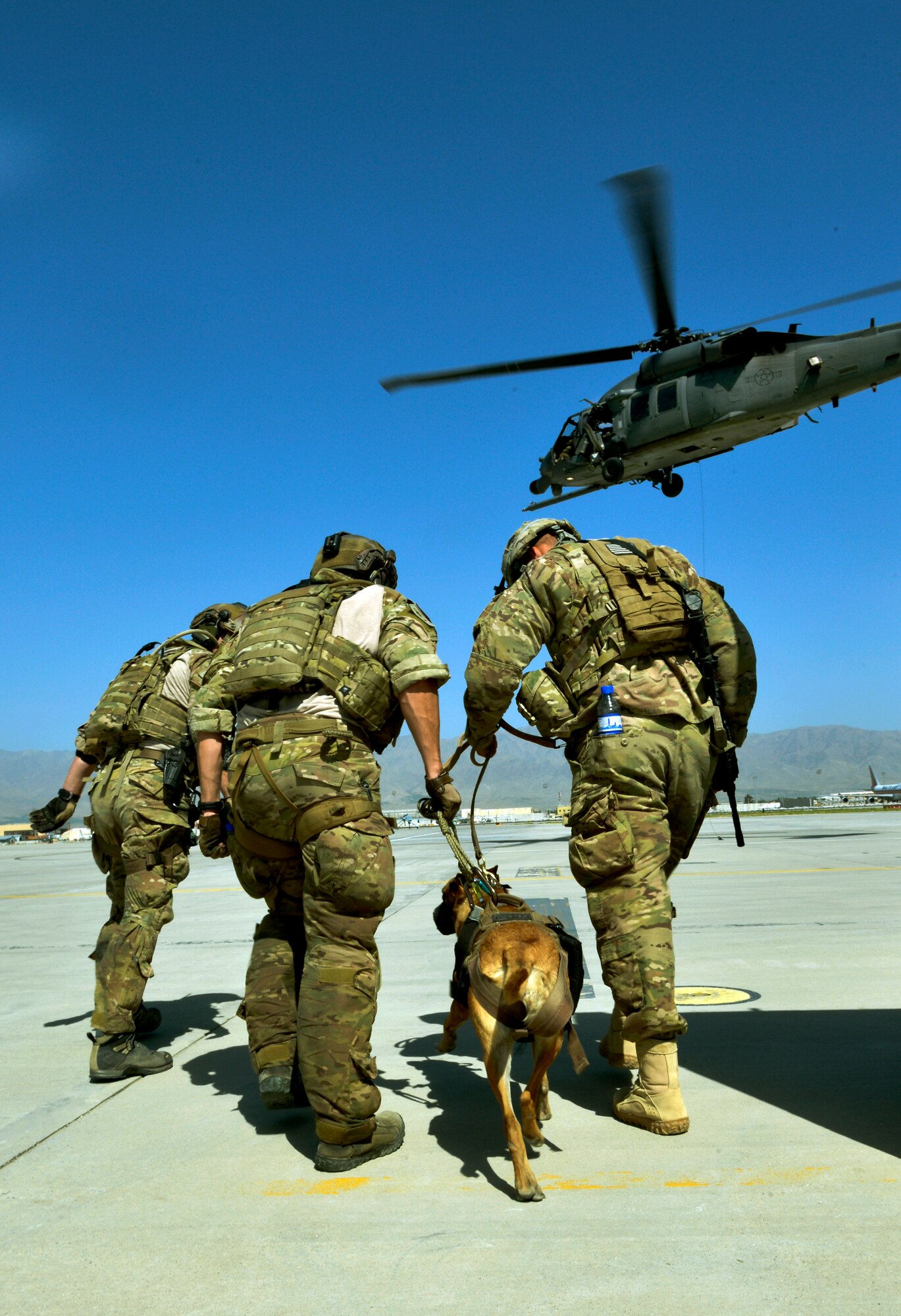 U.S. Army tactical explosive detection dogs and their handlers take turns getting hoist into a HH-60G Pave Hawk helicopter by 83rd Expeditionary Rescue Squadron pararescueman during joint training at Bagram Airfield, Afghanistan, June 21.  The TED dogs are trained to find IED’s outside the base. The chances of them needing rescued are high here making this training important for both branches. (U.S. Air Force photo/ Staff Sgt. Stephenie Wade)